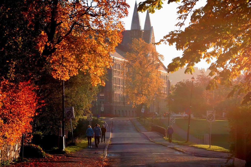 Image of a street in Trondheim